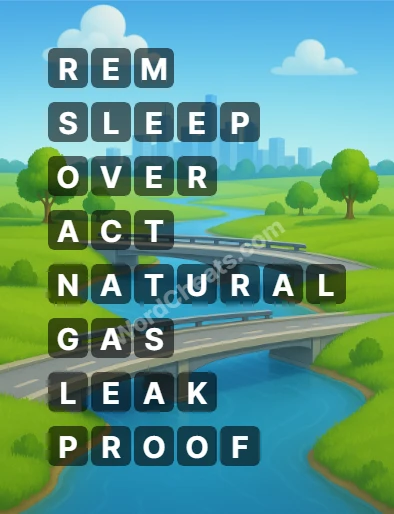 Word Chain Level 193 Answers