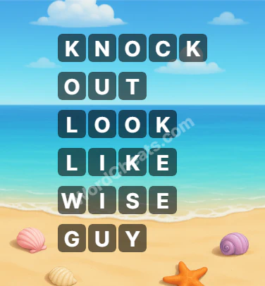 Word Chain Level 218 Answers