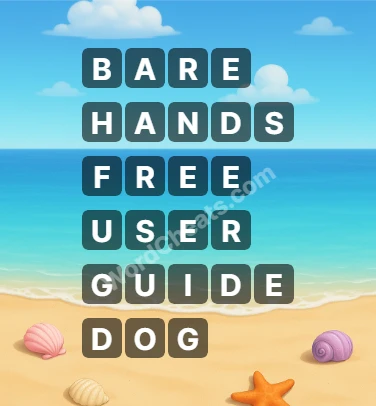 Word Chain Level 241 Answers