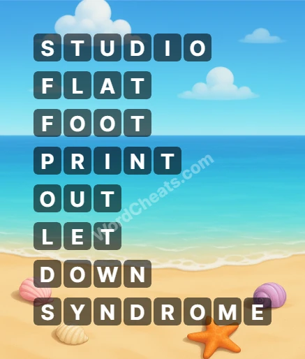 Word Chain Level 245 Answers