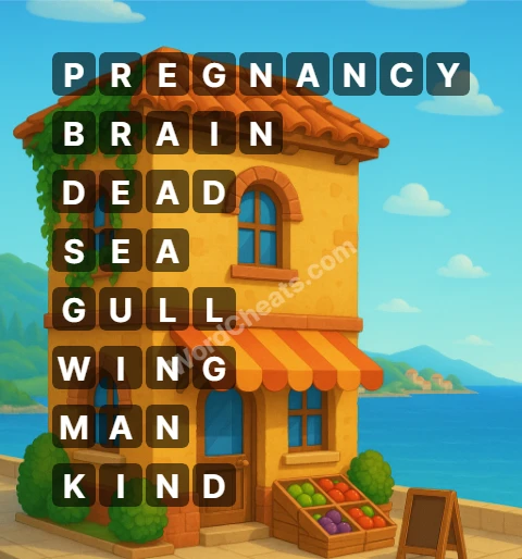 Word Chain Level 323 Answers