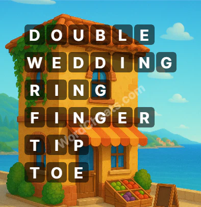 Word Chain Level 325 Answers