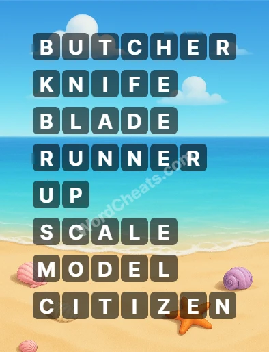 Word Chain Level 338 Answers