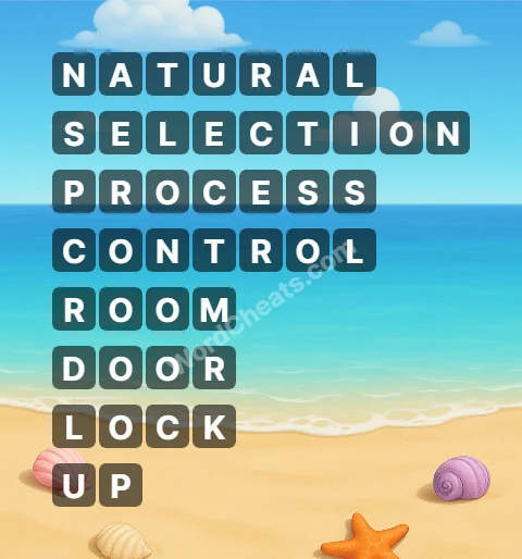 Word Chain Level 339 Answers