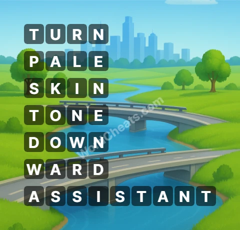 Word Chain Level 343 Answers