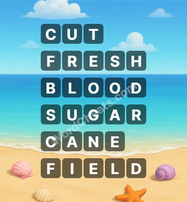 Word Chain Level 369 Answers