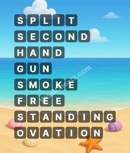 Word Chain Level 397 Answers