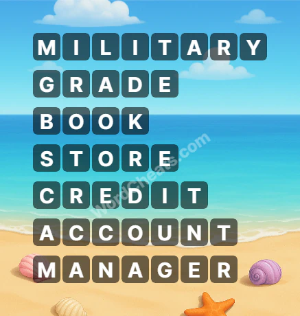 Word Chain Level 487 Answers