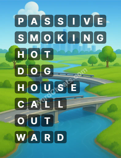 Word Chain Level 494 Answers