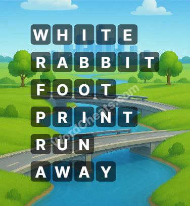 Word Chain Level 529 Answers